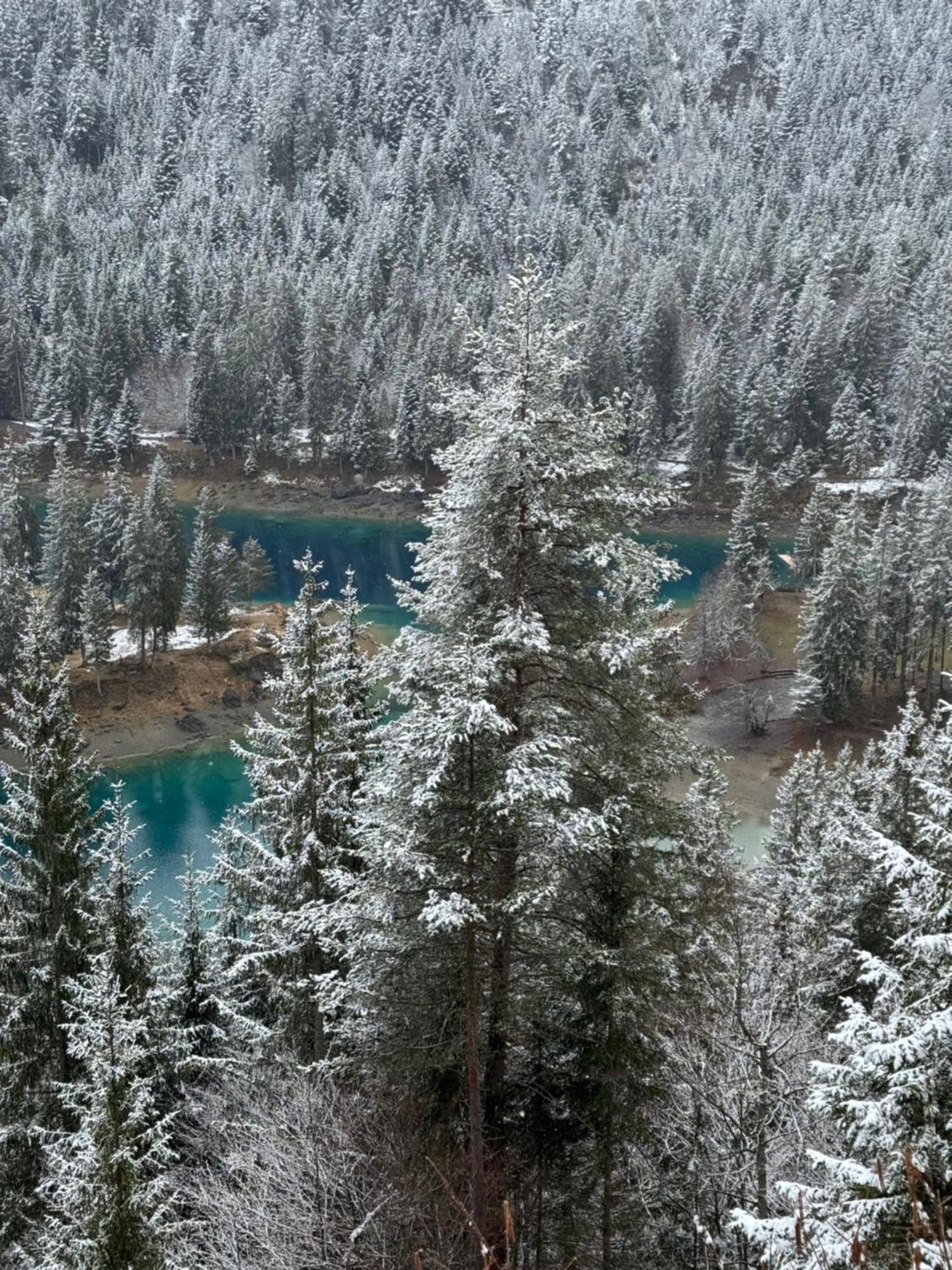 Waldheim Pension Лаакс Екстериор снимка